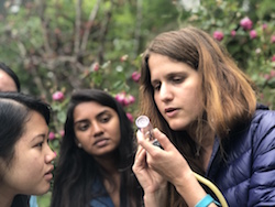 Image students in the field