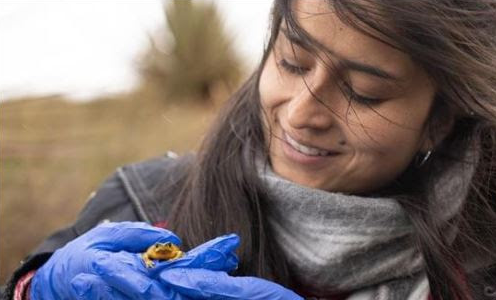 M Navarrete holding a tiny frog