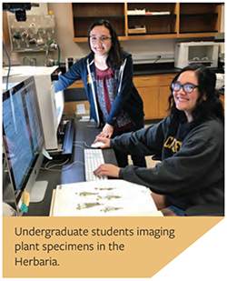 Undergraduate students imaging plant specimens in the Herbaria