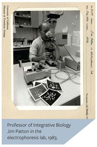 IB Professor Jim Patton in the electrophoresis lab 1983