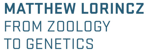 Matthew Lorincz from Zoology to Genetics