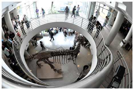 View of VLSB atrium from above