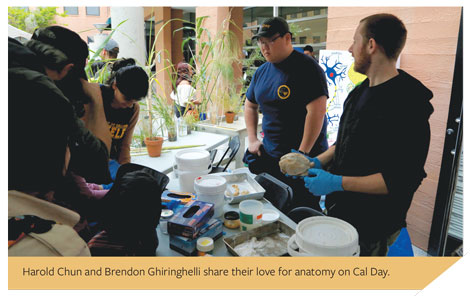 Harold Chun and Brendon Ghiringhelli share their love for anatomy on Cal Day