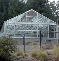 Jane Gray greenhouse