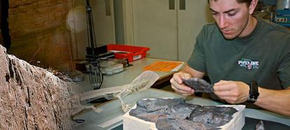 Student examining fossil footprints