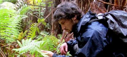 Grad Student in Field looking at plant