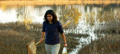 Student walking through marsh carrying net